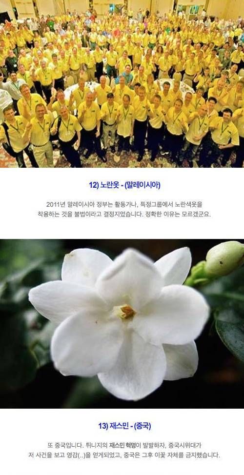 세계의 이상한 법.jpg