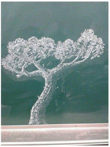 댓글러 농락하는 작성자.jpg