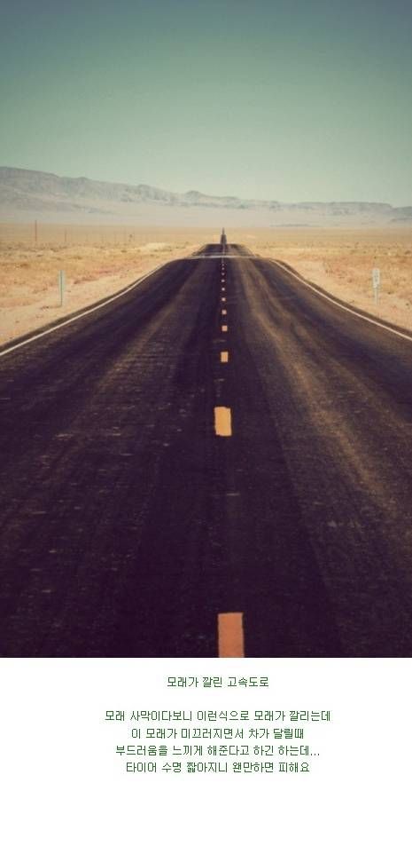 미국 남성들의 로망.jpg