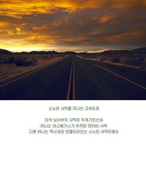 미국 남성들의 로망.jpg