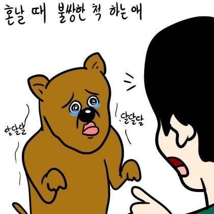 애완견 유형.jpg