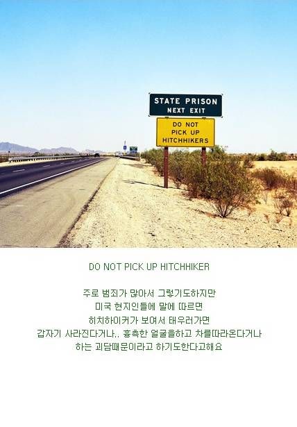 미국 남성들의 로망.jpg