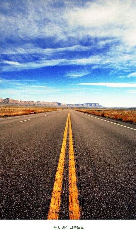 미국 남성들의 로망.jpg