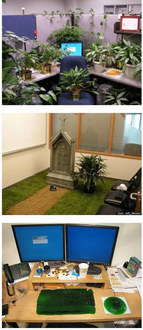 하드코어 사무실 장난