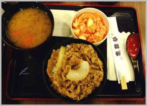 일본가서 절대 가면 안된다고 하는 덮밥집