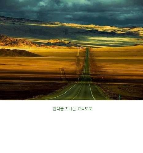 미국 남성들의 로망.jpg