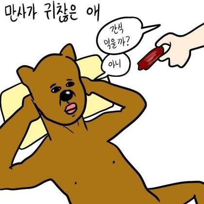 애완견 유형.jpg