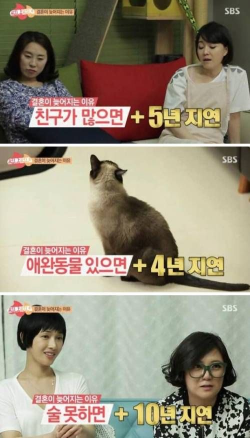 자가 결혼이 늦어지는 이유