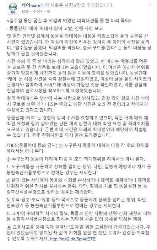 강아지 막걸리녀 잡힘