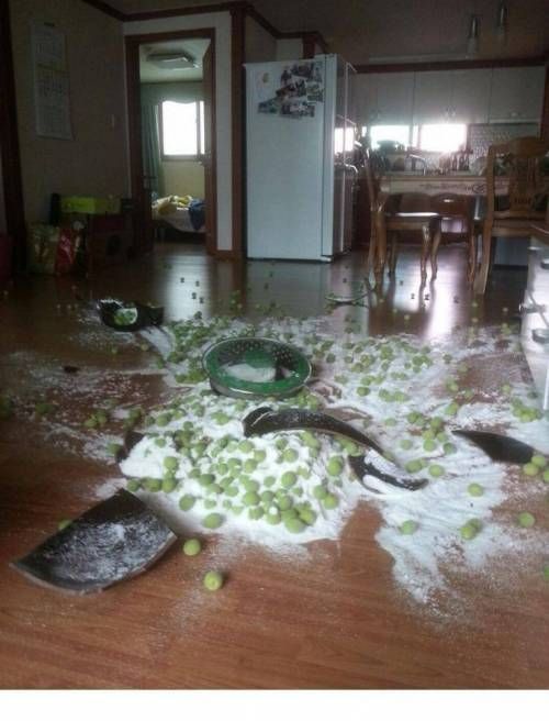 여보 매실 단지 다 옮겼죠?