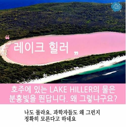 호주에관한 10가지 사실.jpg