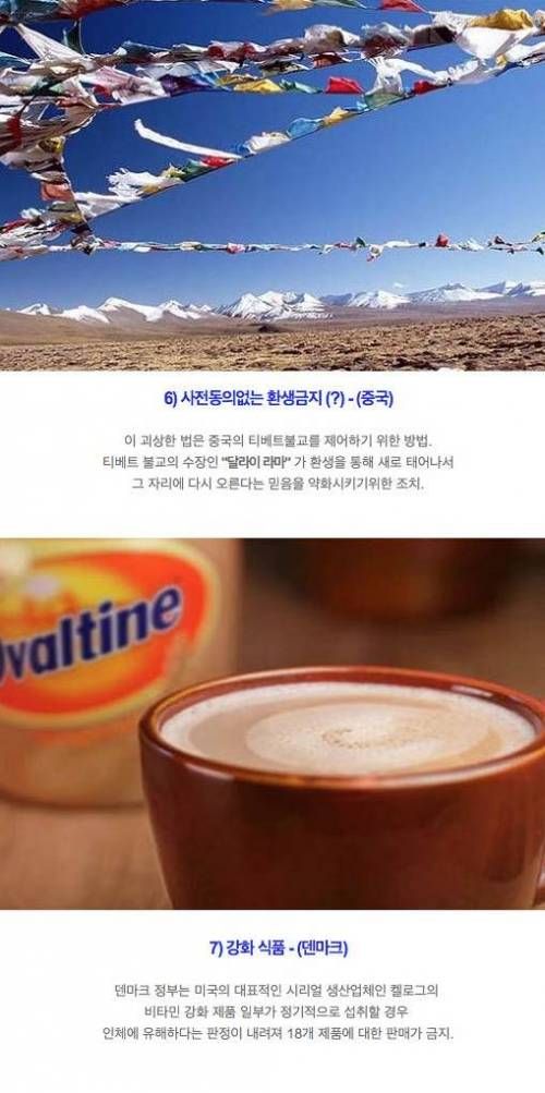 세계의 이상한 법.jpg