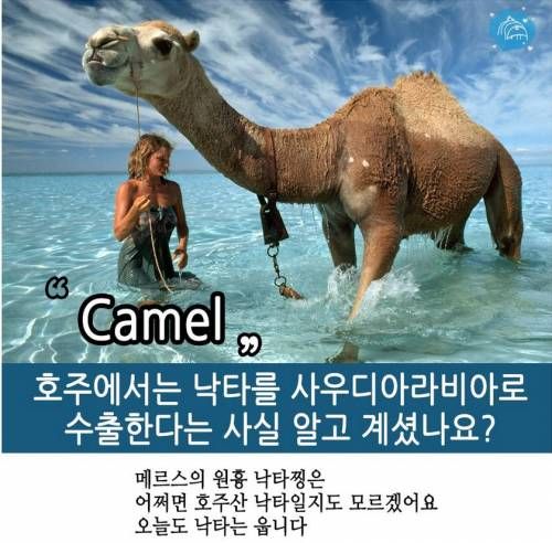 호주에관한 10가지 사실.jpg