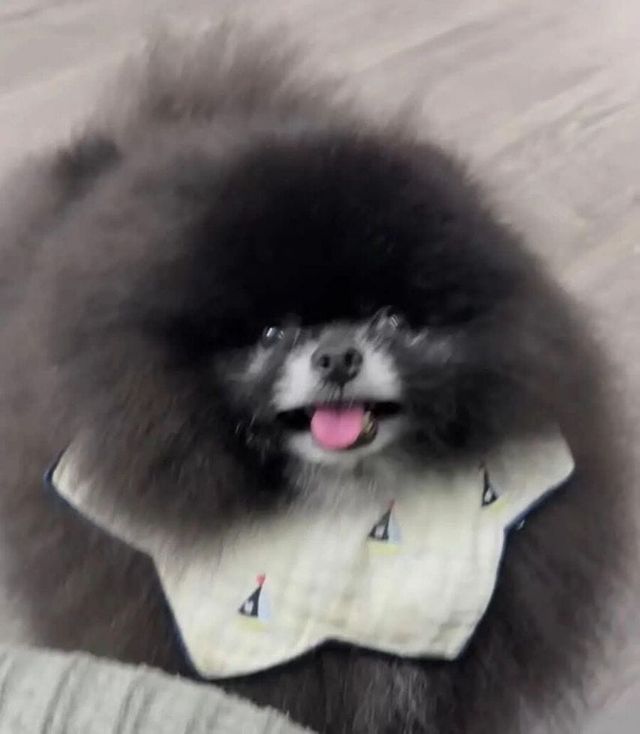 정체불명의 외눈박이 생물