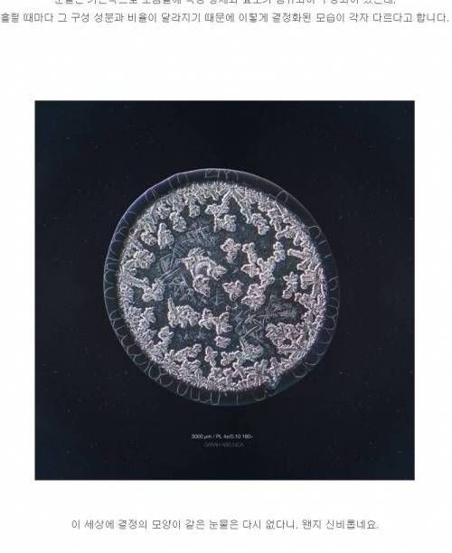 현미경으로 본 눈물