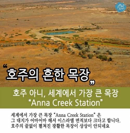 호주에관한 10가지 사실.jpg