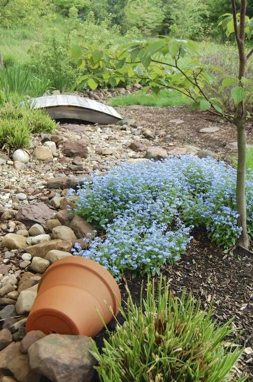 누가 이 예쁜 꽃을 바닥에 쏟아놨어..