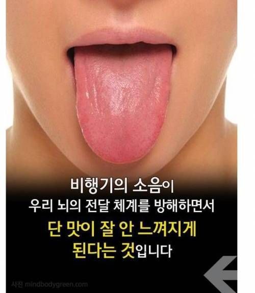 기내식은 왜 맛이 없을까?.jpg