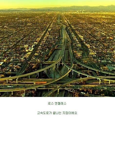 미국 남성들의 로망.jpg