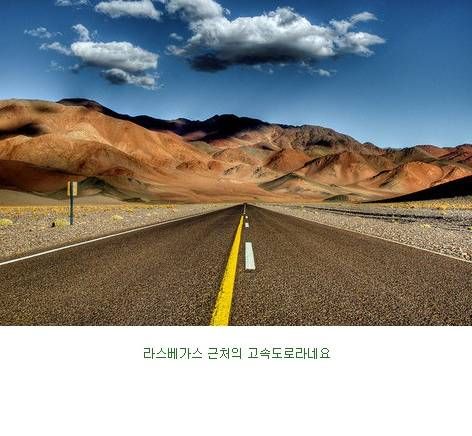 미국 남성들의 로망.jpg