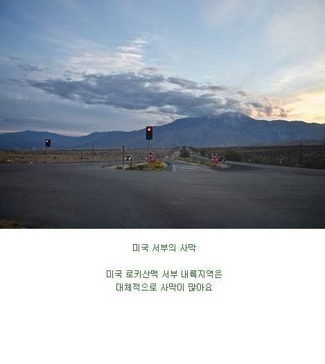 미국 남성들의 로망.jpg