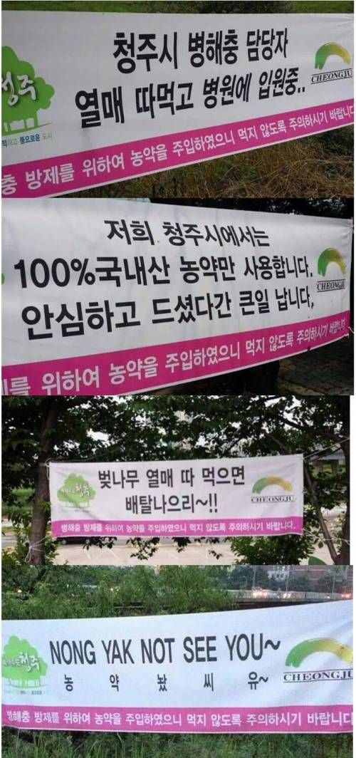 청주시 공무원 드립력.jpg