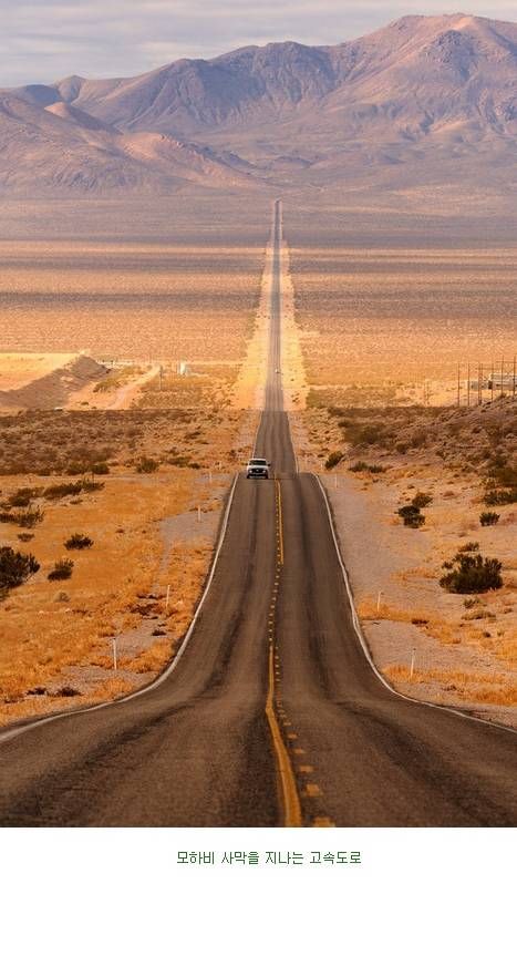 미국 남성들의 로망.jpg