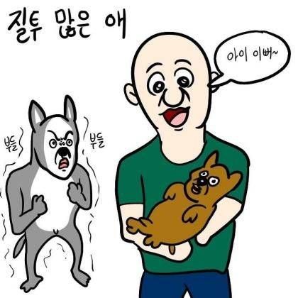 애완견 유형.jpg