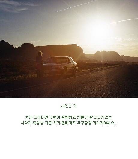 미국 남성들의 로망.jpg