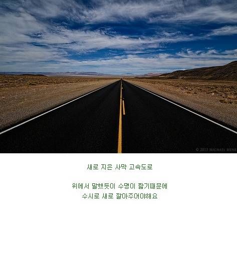 미국 남성들의 로망.jpg