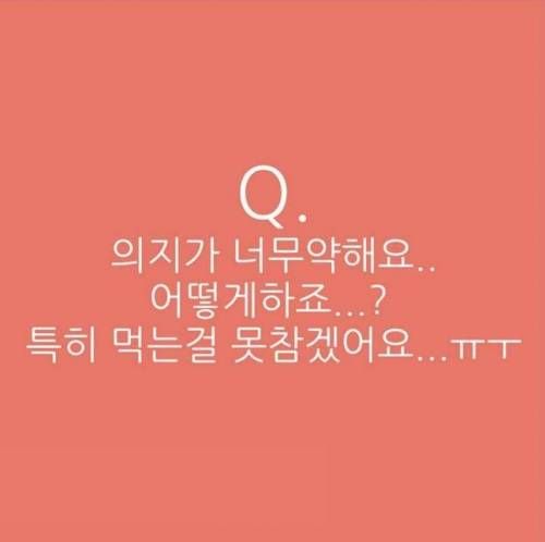 다이어트는 의지싸움