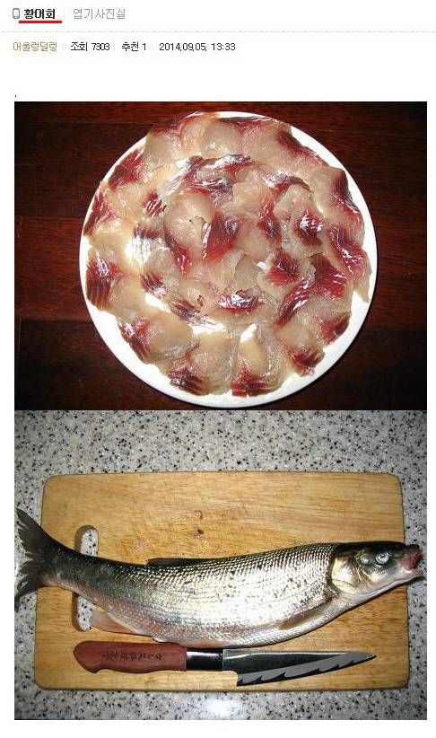 황어 회 많이 먹으면 안 되는 이유