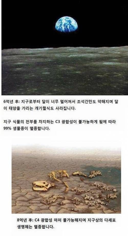 지구가 멸망하는 과정.jpg