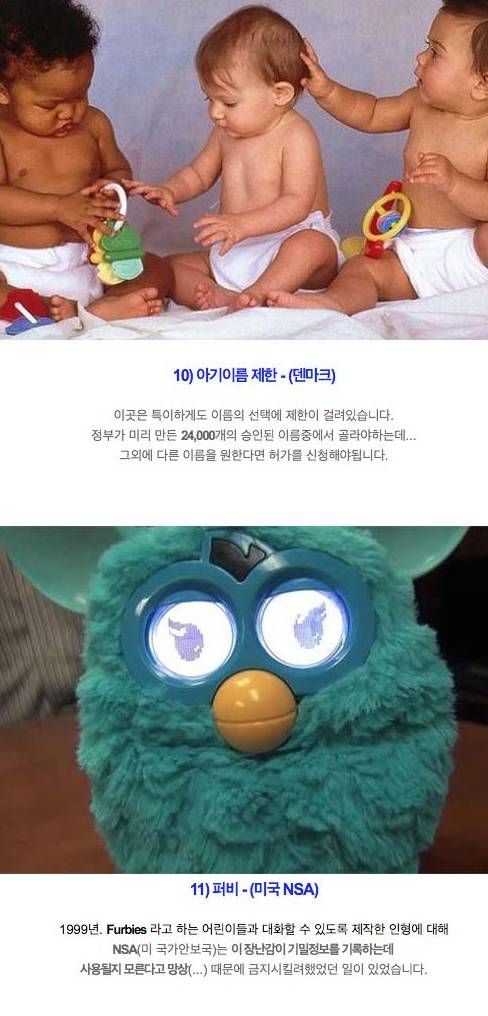 세계의 이상한 법.jpg