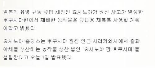 일본가서 절대 가면 안된다고 하는 덮밥집