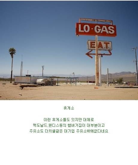 미국 남성들의 로망.jpg