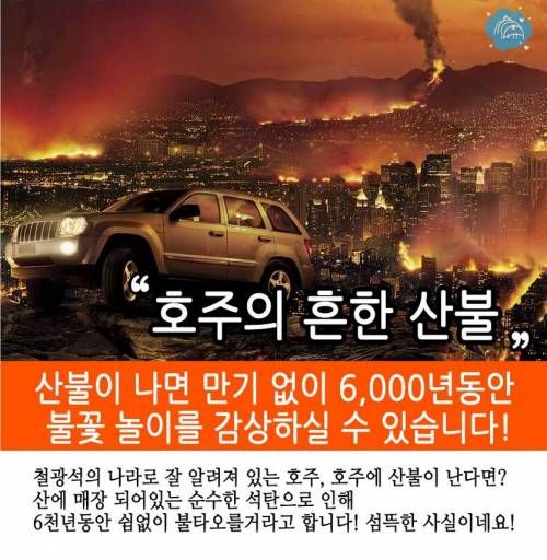 호주에관한 10가지 사실.jpg