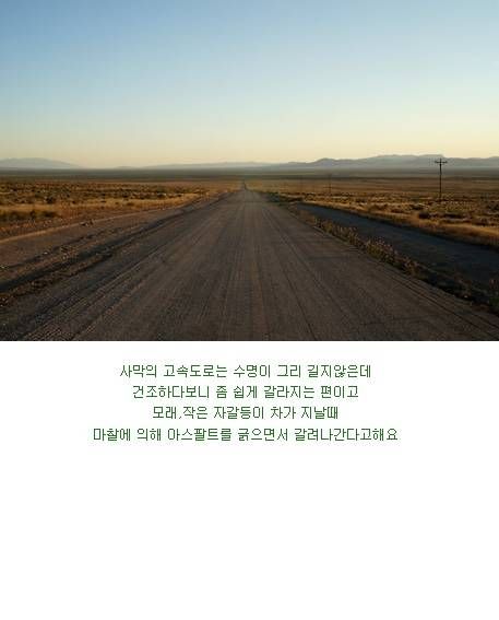 미국 남성들의 로망.jpg