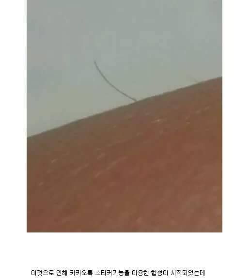 마지막 잎새.jpg