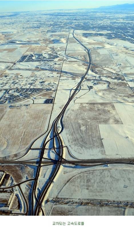 미국 남성들의 로망.jpg