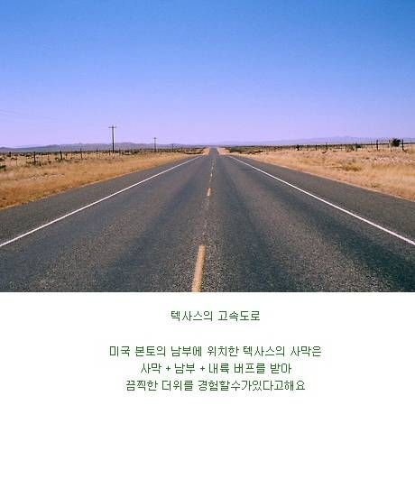 미국 남성들의 로망.jpg