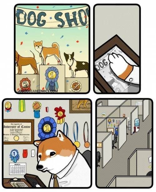 화려했던 과거.JPG