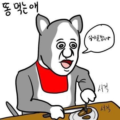 애완견 유형.jpg