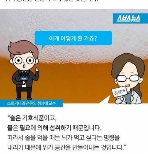 밥 배와 간식 배.jpg