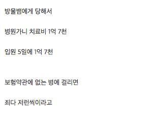 미국에서 방울뱀에게 물리면.jpg