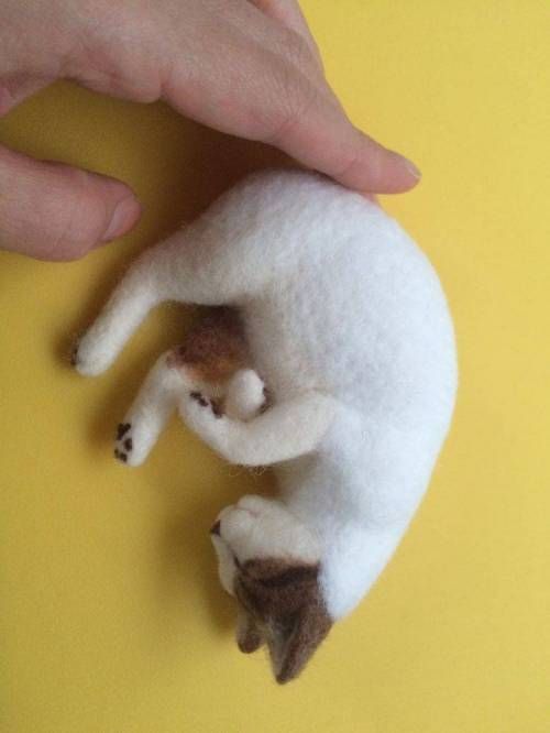 고양이 털로 만든 고양이