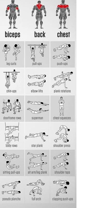 근육별 운동방법.jpg