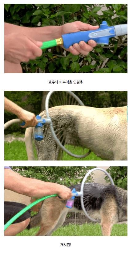 애완동물 샤워기.jpg
