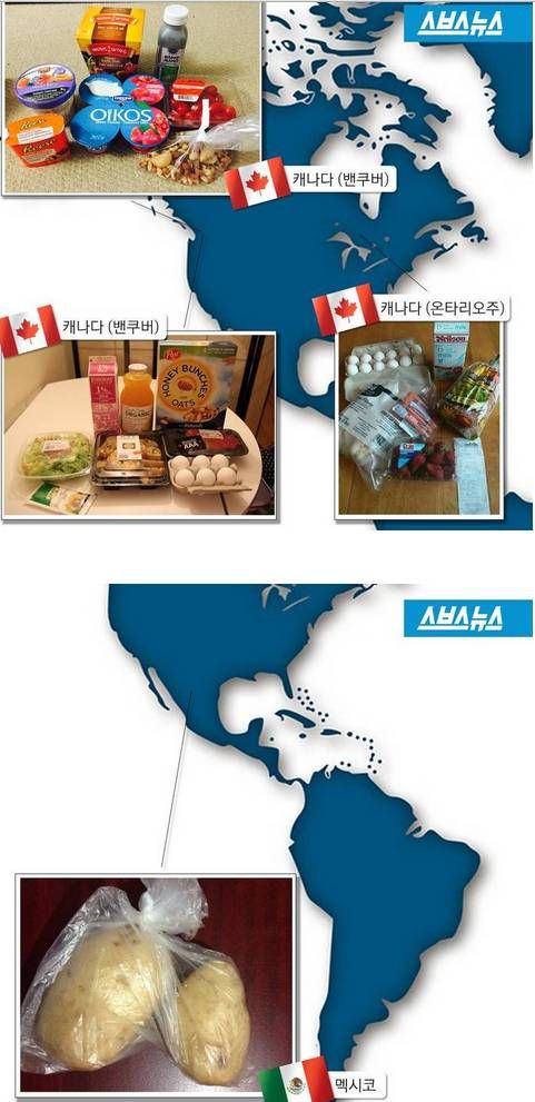 국가별 최저시급으로 살 수 있는 식료품.jpg