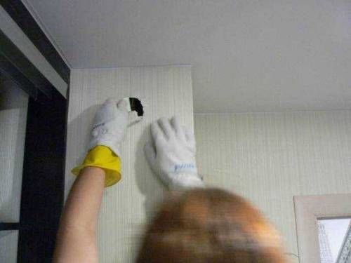 갑자기 벽에 이상한게 나타났다.jpg